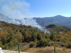 Alanya'da zirai alandaki yangın kontrol altına alındı