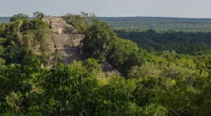 Meksika'da 1300 yıllık Antik Maya kenti keşfedildi