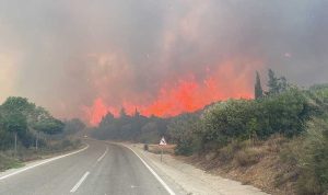 Yangın riski nedeniyle ormanlara giriş yasaklandı