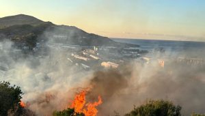 Alanya'da avokado bahçesinde yangın çıktı