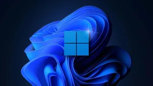 Microsoft, Windows 11 güncellemesi için hata uyarısı veriyor