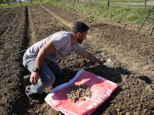 Salep yetiştiricisi oldu, 800 bin lira gelir elde ediyor