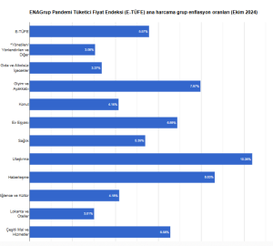 ENAG ekim ayı enflasyonunu duyurdu