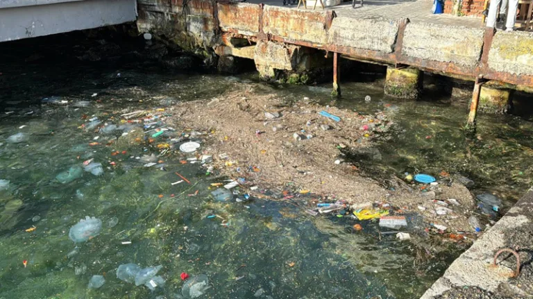 Beykoz'da deniz kirliliği artıyor, çöpler kıyaya vurdu