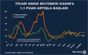 Ticari kredi büyümesi Kasım'da 1,1 puan arttı