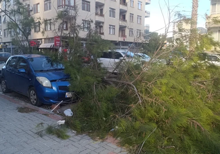 Mersin'de fırtına araçları ve camları kırdı