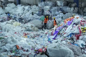 Türkiye'nin plastik atık ithalatı neden artıyor?