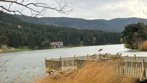 Bolu'da kuvvetli rüzgar günlük yaşamı olumsuz etkiliyor