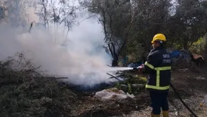 Erzin'de zeytin bahçesinde yangın çıktı