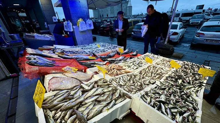 Hamsinin fiyatı 100 liraya düştü, balık tezgahları bollaştı