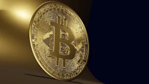 Bitcoin'i en çok hangi ülkeler biriktiriyor?