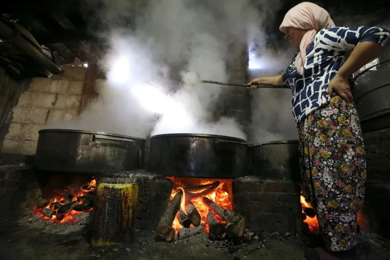 220 haneli köy pekmez ile geçimini sağlıyor