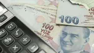 Tarım Bakanlığı 112 milyon lira destek ödemesi yapıyor