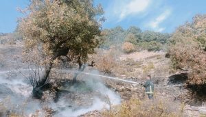 Alanya'da merada çıkan yangın kontrol altına alındı