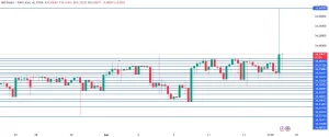 Dolar/TL tarihi rekor seviyeye ulaştı