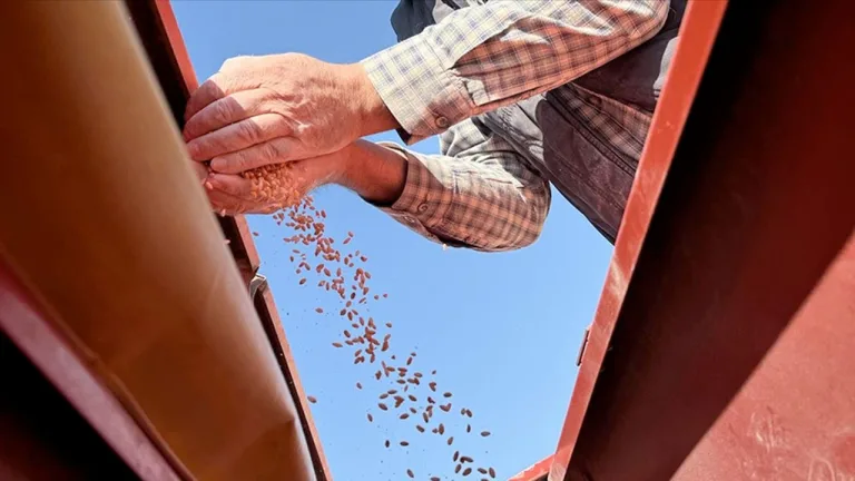 Ahmet buğdayının mirası Duru Bulgur ile korunuyor