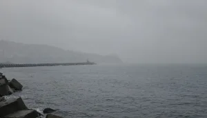 Zonguldak'ta sis deniz trafiğini etkiliyor