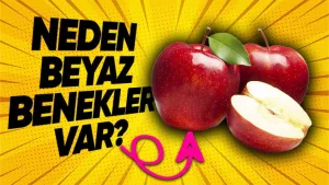 Elmaların üzerindeki beyaz noktalar ne anlama geliyor?