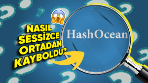 HashOcean skandalı yatırımcıları kayıplara sürükledi