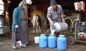 Çiğ süt fiyatları güncellenmediği için üreticiler zor durumda