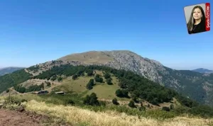 Samsun ve Amasya’da 37 rüzgâr türbini kurulacak