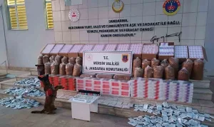 Mersin'de kaçakçılık operasyonunda 208 bin makaron ele geçirildi