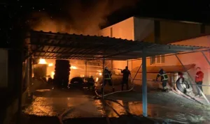 Hatay'da lastik deposunda yangın çıktı