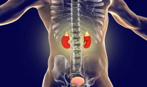 Adrenal kitleler sağlık sorunlarına yol açabiliyor