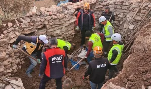 Siirt'te ağılın tavanı çöktü, 3 küçükbaş hayvan öldü