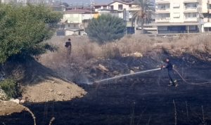 Manavgat’taki çalılık yangını evlere ulaşmadan söndürüldü