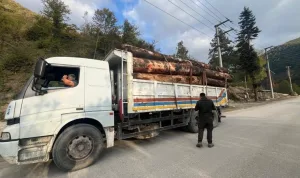 Bolu'da orman kaçakçılığına operasyon yapıldı