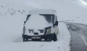 Van-Bahçesaray kara yolu karla mücadeleyle açıldı