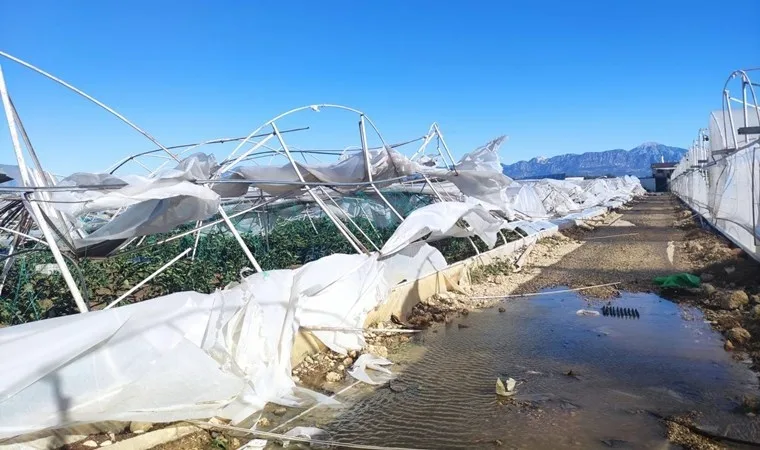 Antalya'da rüzgar seralara zarar verdi, çiftçiye kredi verilmeli