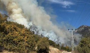 Antalya'da orman yangınına ekipler müdahale ediyor