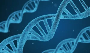 Türklerin genetik kodları incelendi, 4 bin DNA örneği analiz edildi