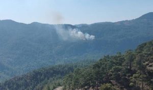 Muğla'da orman yangınına havadan ve karadan müdahale