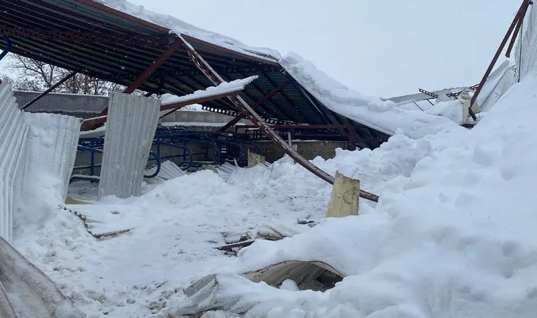 Ahırın çatısı kar nedeniyle çöktü, 17 hayvan öldü