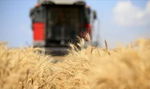 Tarım sektöründe istihdam kaybı 20 yılı buldu