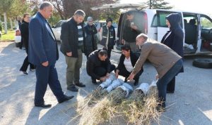 Erzincan'da goji berry yetiştirilecek