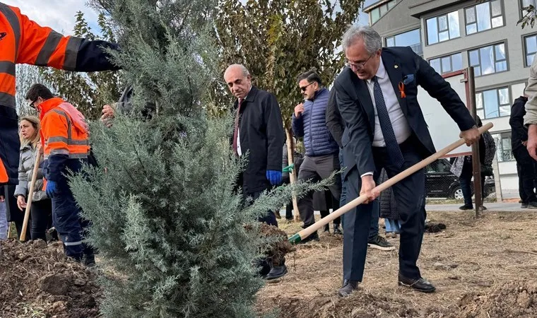 Bandırma'da katledilen kadınlar anısına fidan dikildi