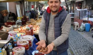 Aydın'da muşmula rekoltesi artıyor, talep yükseliyor