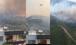 Hatay Arsuz'da Rüzgarın Etkisiyle Yayılan Orman Yangını