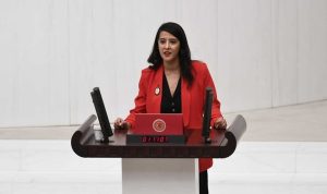 Sevda Karaca bakanlığın teşvik politikasını eleştirdi