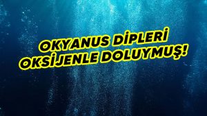 Okyanus diplerinde karanlık oksijen keşfedildi