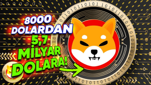 8.000 dolarlık yatırım 5.7 milyar dolara ulaştı