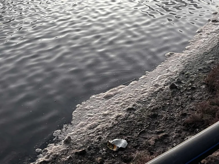 Muğla'da sulak alanda köpük kirliliği endişesi