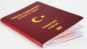 Anayasa Mahkemesi pasaport kısıtlamasını iptal etti