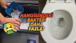 restoranlardaki buzlar tuvalet suyundan daha kirli