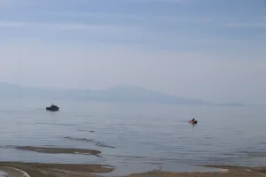 Rojin Kabaiş'in otopsi raporu açıklandı, ölüm nedeni suda boğulma