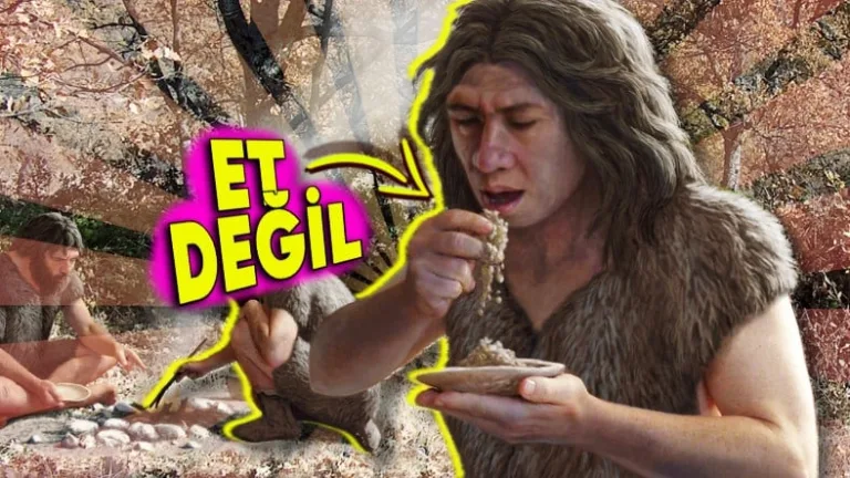 Eski insanlar toplayıcı-avcı mıydı, avcı-toplayıcı mı?